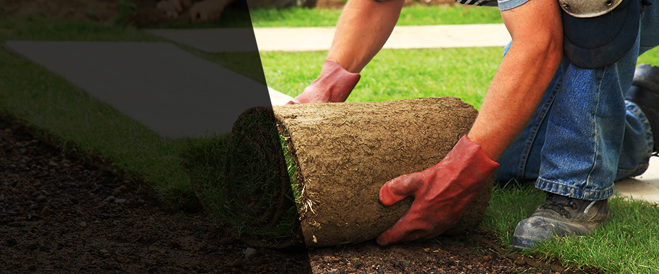 Clayton Landscapers